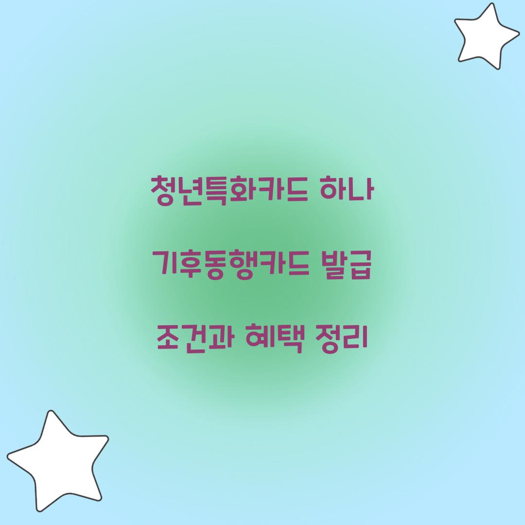 청년특화카드 하나 기후동행카드