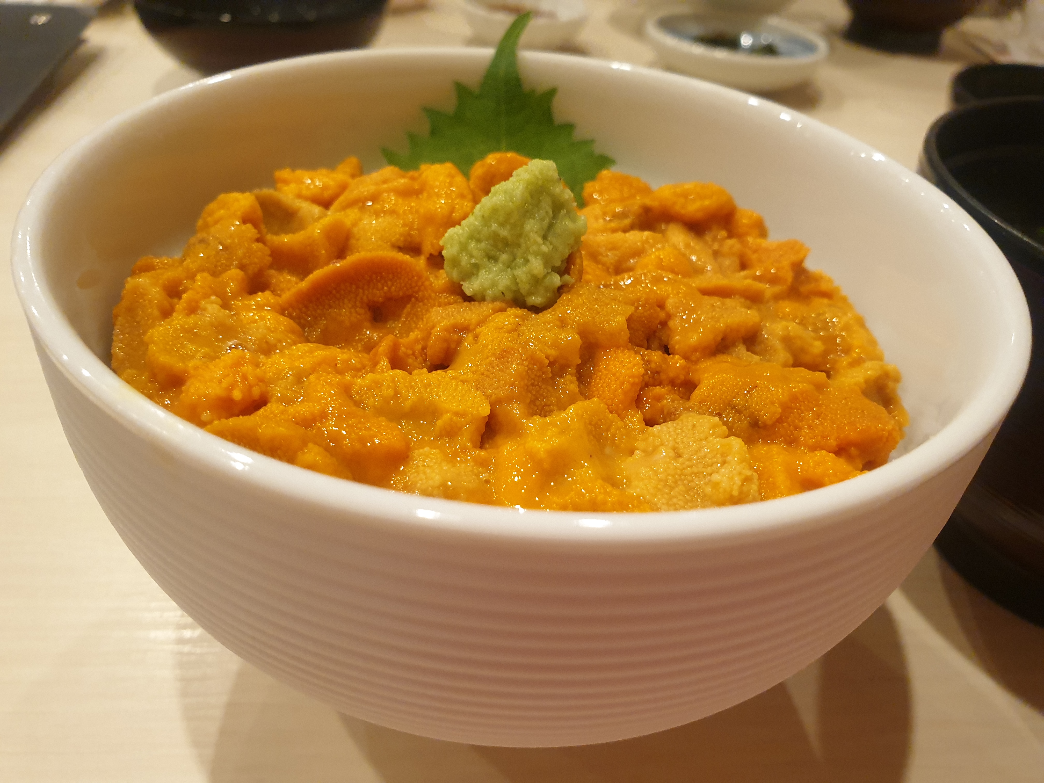 하코다테 생우니동