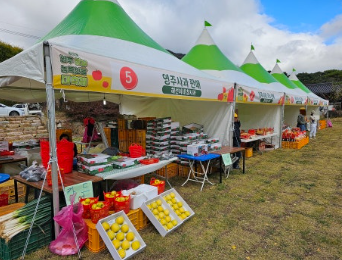 부석사 잔디광장 사과판매장