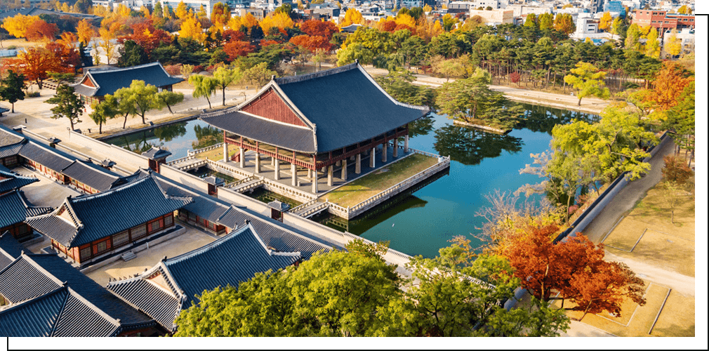 2024 경복궁 별빛야행 예약 티켓예매 프로그램 주자창 안내