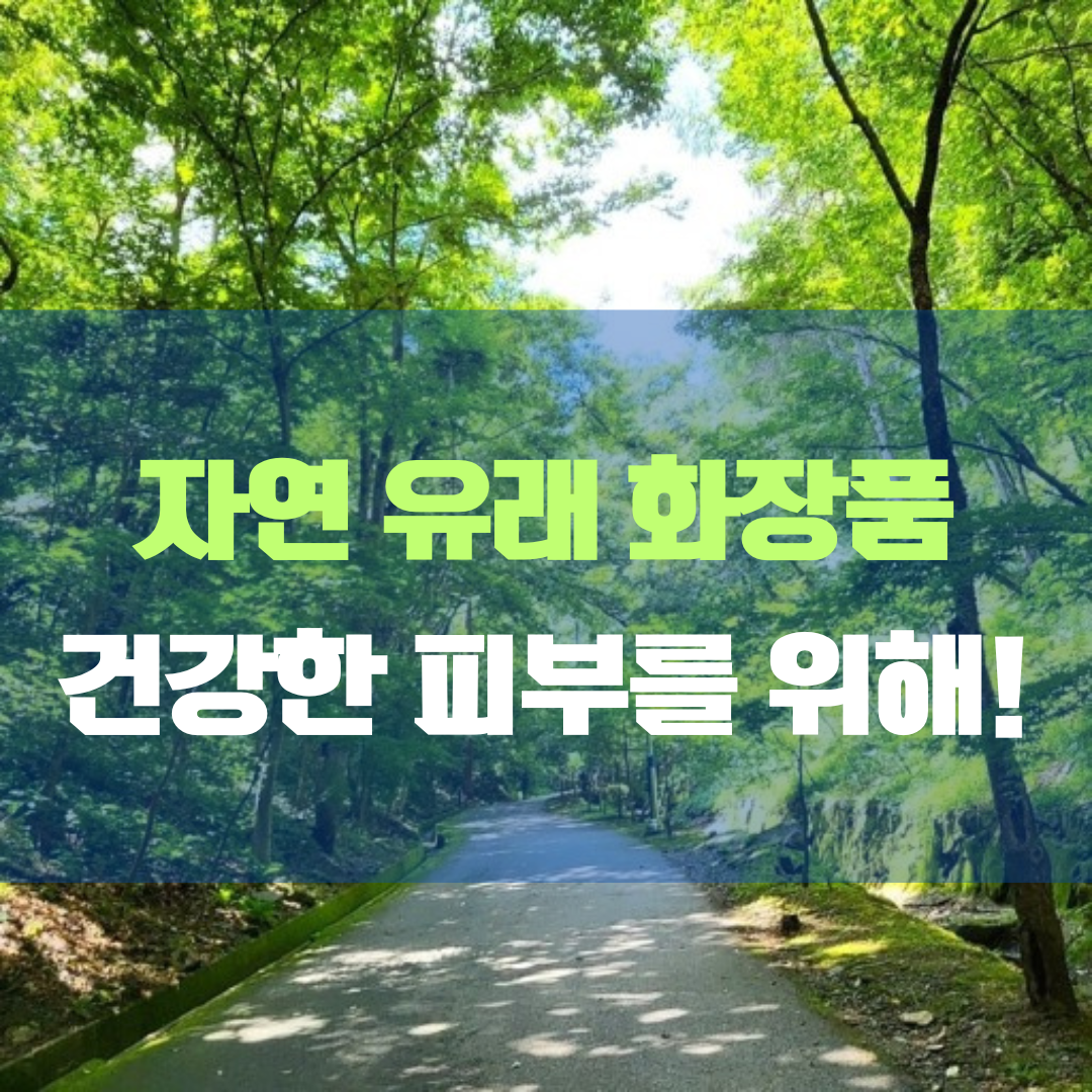 최고의 건강한 피부를 위한 자연 유래 화장품을 소개