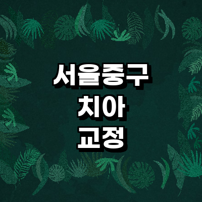 서울 중구 교정 치과