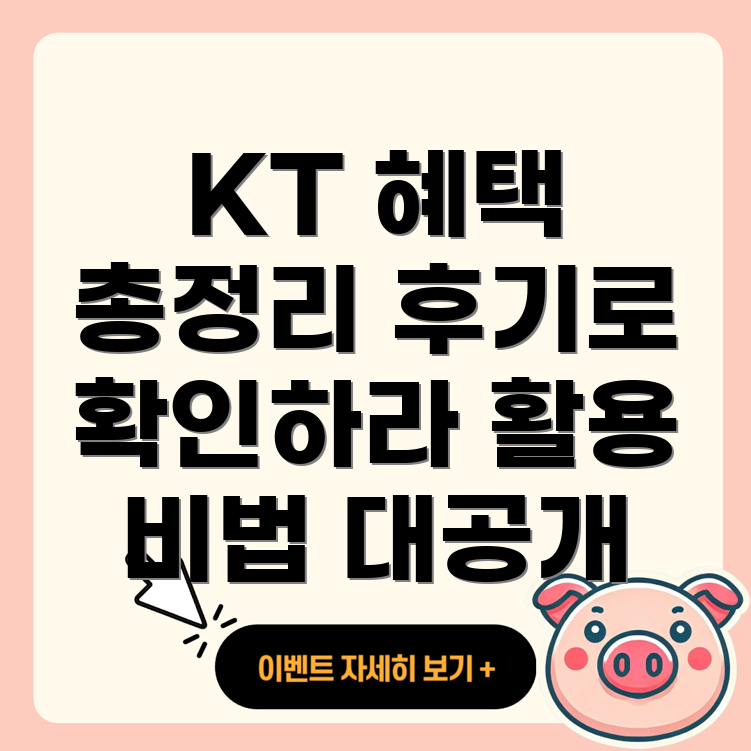 KT 인터넷 혜택