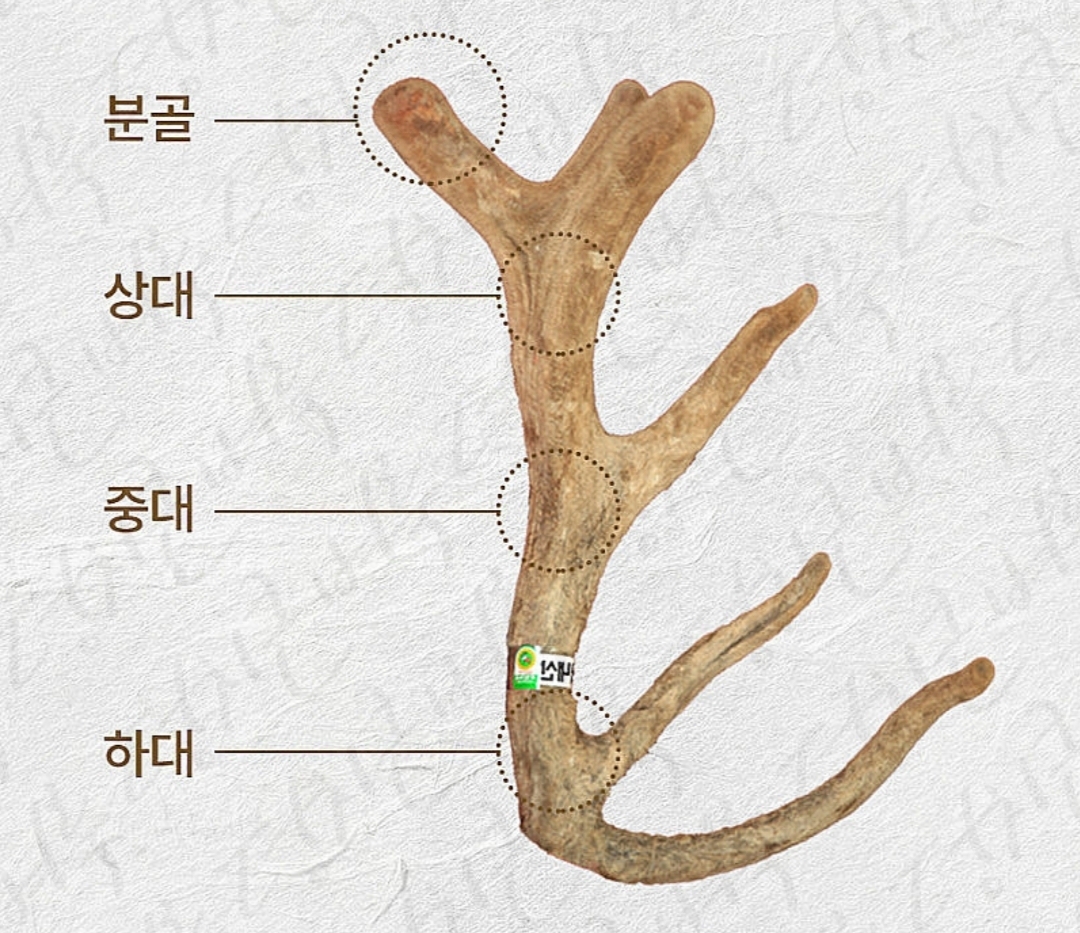 이경제 더힘찬녹용 효능 부작용