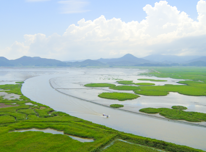 순천만습지 갈대밭