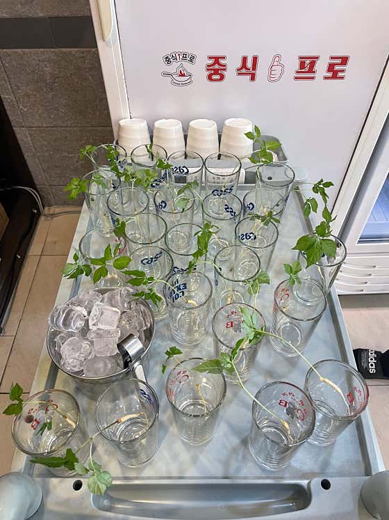 생생정보 34년 내공의 맛 냉짬뽕 