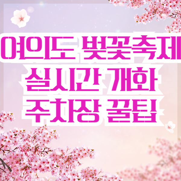 여의도 벚꽃축제