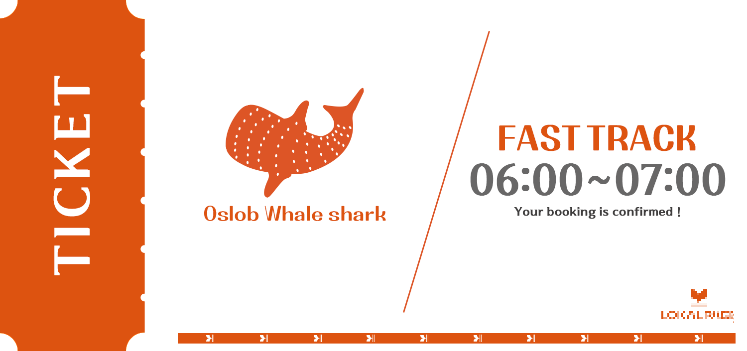 세부 오슬롭 고래상어