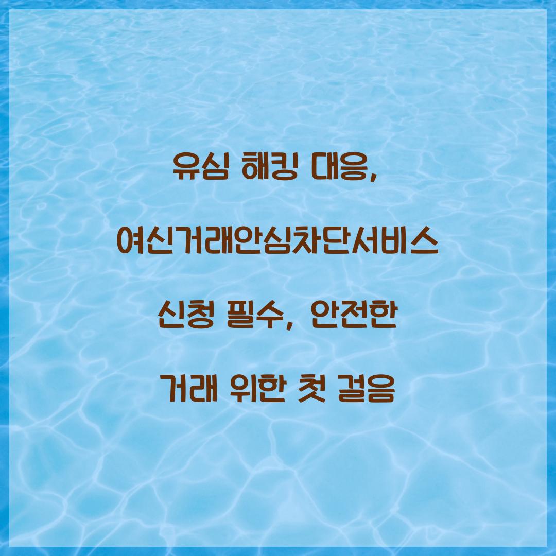 유심 해킹 대응: 여신거래안심차단서비스 신청 필수