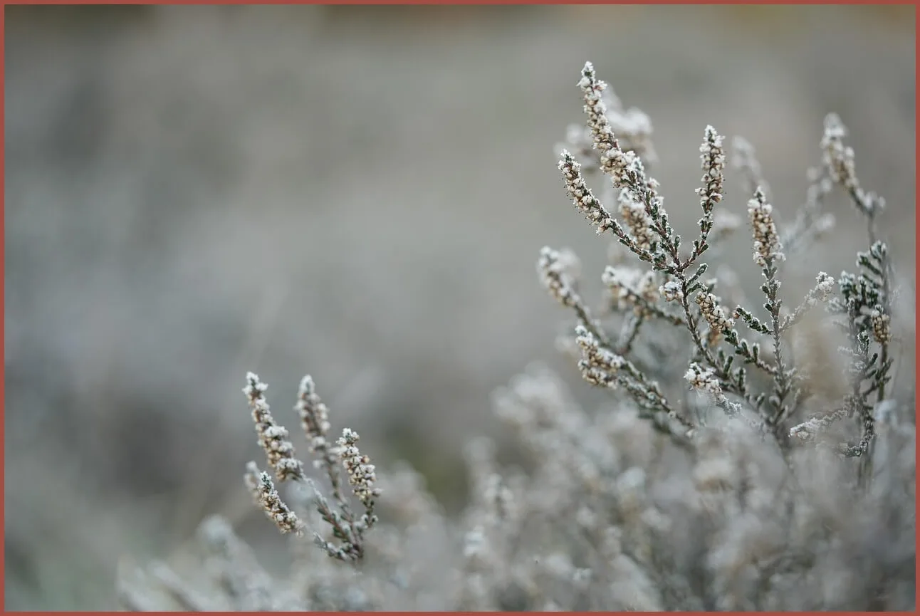 정기예금 이율높은곳