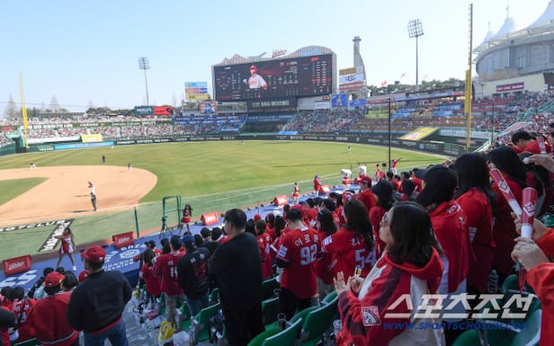 야구 직관 좌석 추천 확인하러 가기