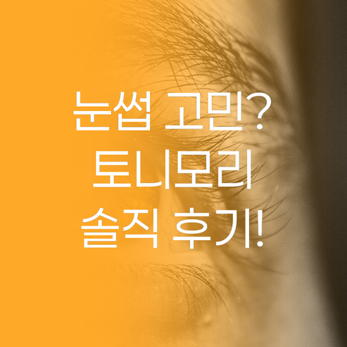 자연스러운 눈썹 연출 비법 토니모리 
