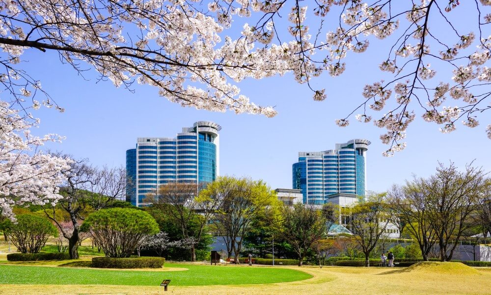 삼성노블카운티