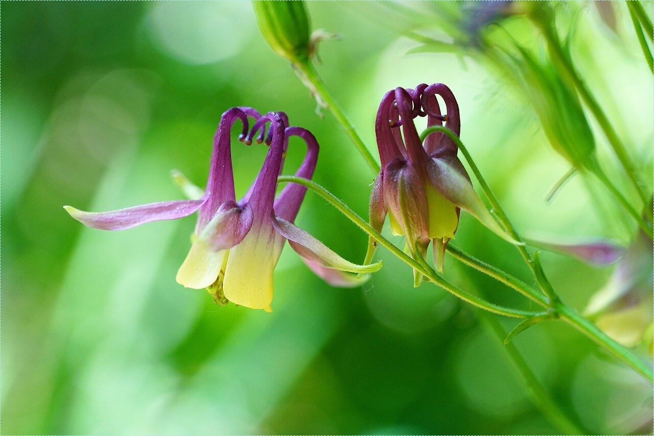 은행 적금 이자 높은곳