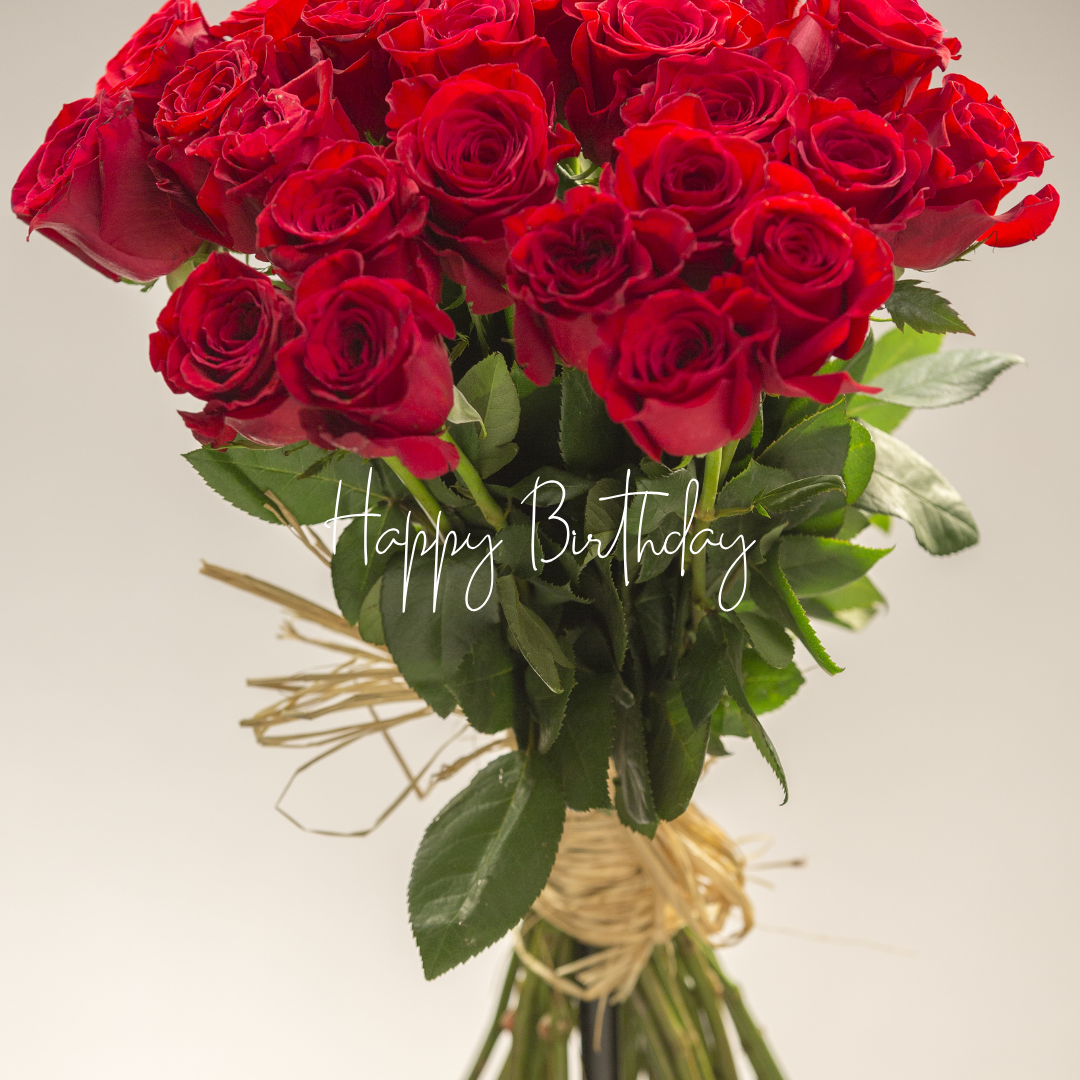 .생일 축하 메세지 꽃다말 이미지 모음