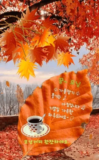 아침 인사로 좋은 글 이쁜글 기분좋은 인사말_12