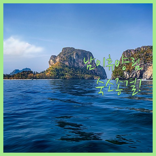 금산 남이자연휴양림 인근 숙소 장단점..