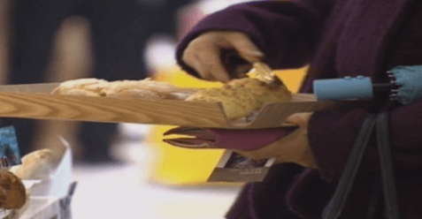 창업 전 체크사항