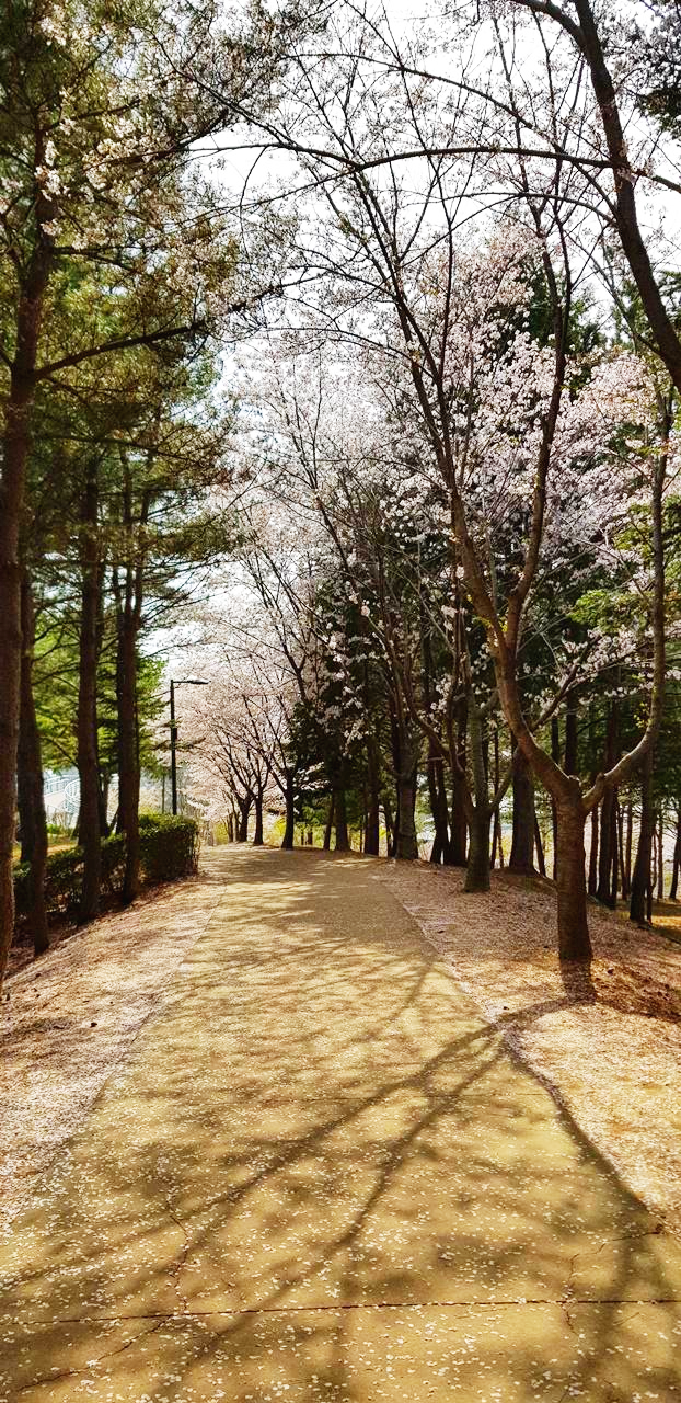 경주보문호물너울공원