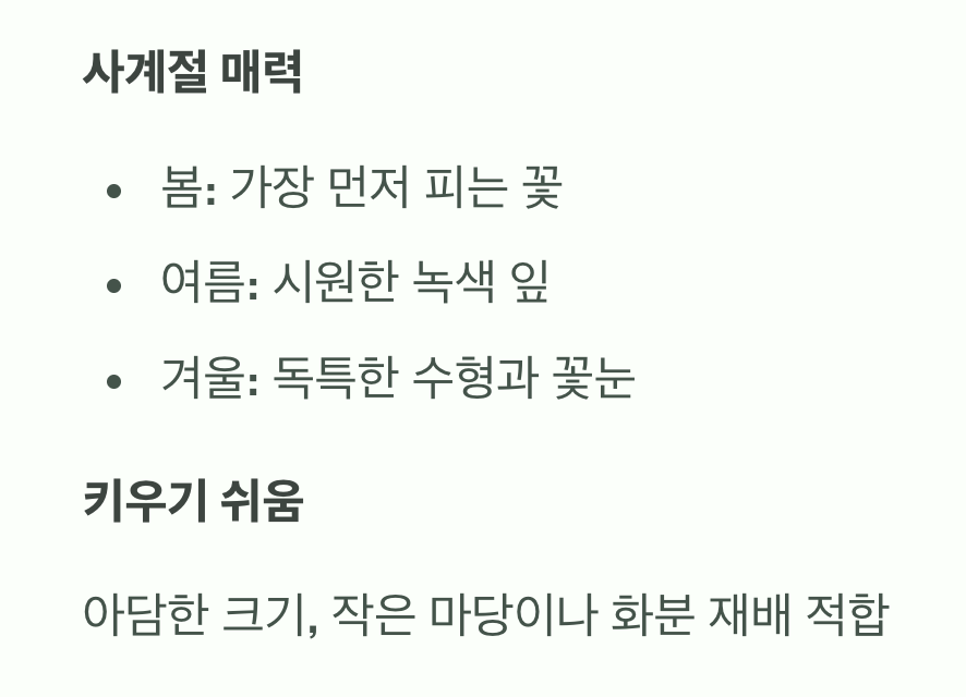 정원을 특별하게 만드는 조경수