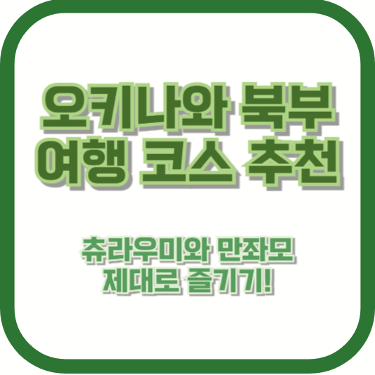 오키나와 북부 여행 코스 추천 – 츄라우미와 만좌모 제대로 즐기기!