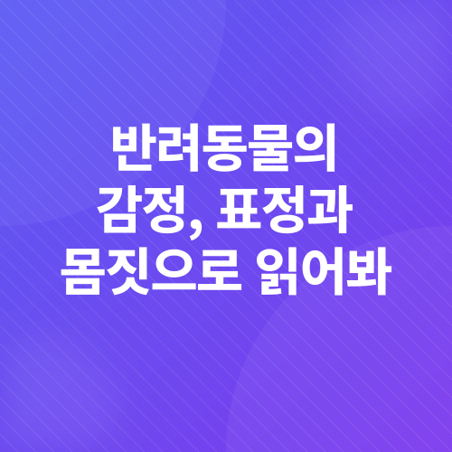 반려동물 마음 읽기_1