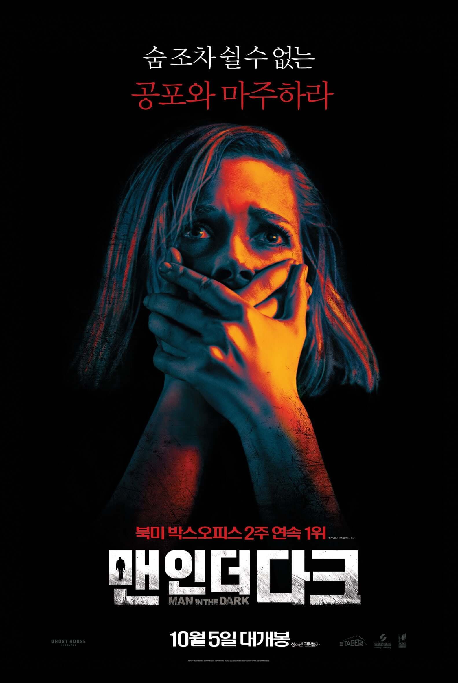 영화 맨 인 더 다크 포스터