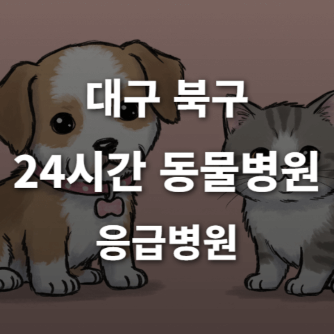 [대구 북구 24시간 동물병원(칠성동, 산격동)] 365일 연중무휴 반려동물 응급상황 대처 가능한 진료소