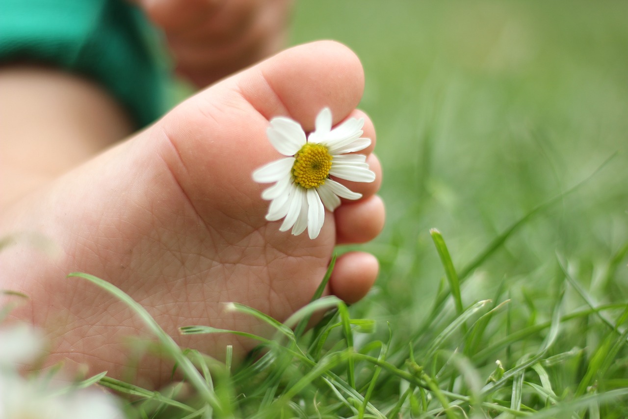 아기랑 꽃 사진