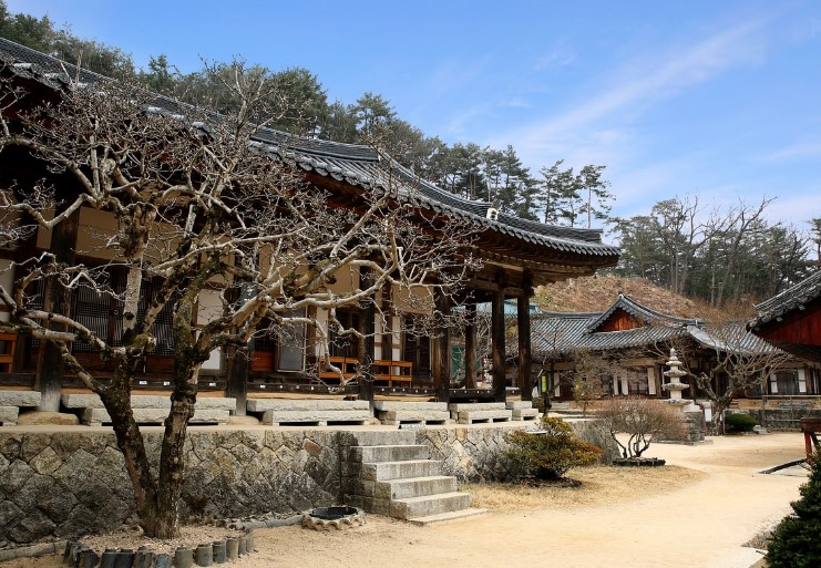 김천 사찰 사진