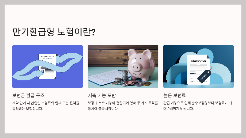 만기환급형 보험이란