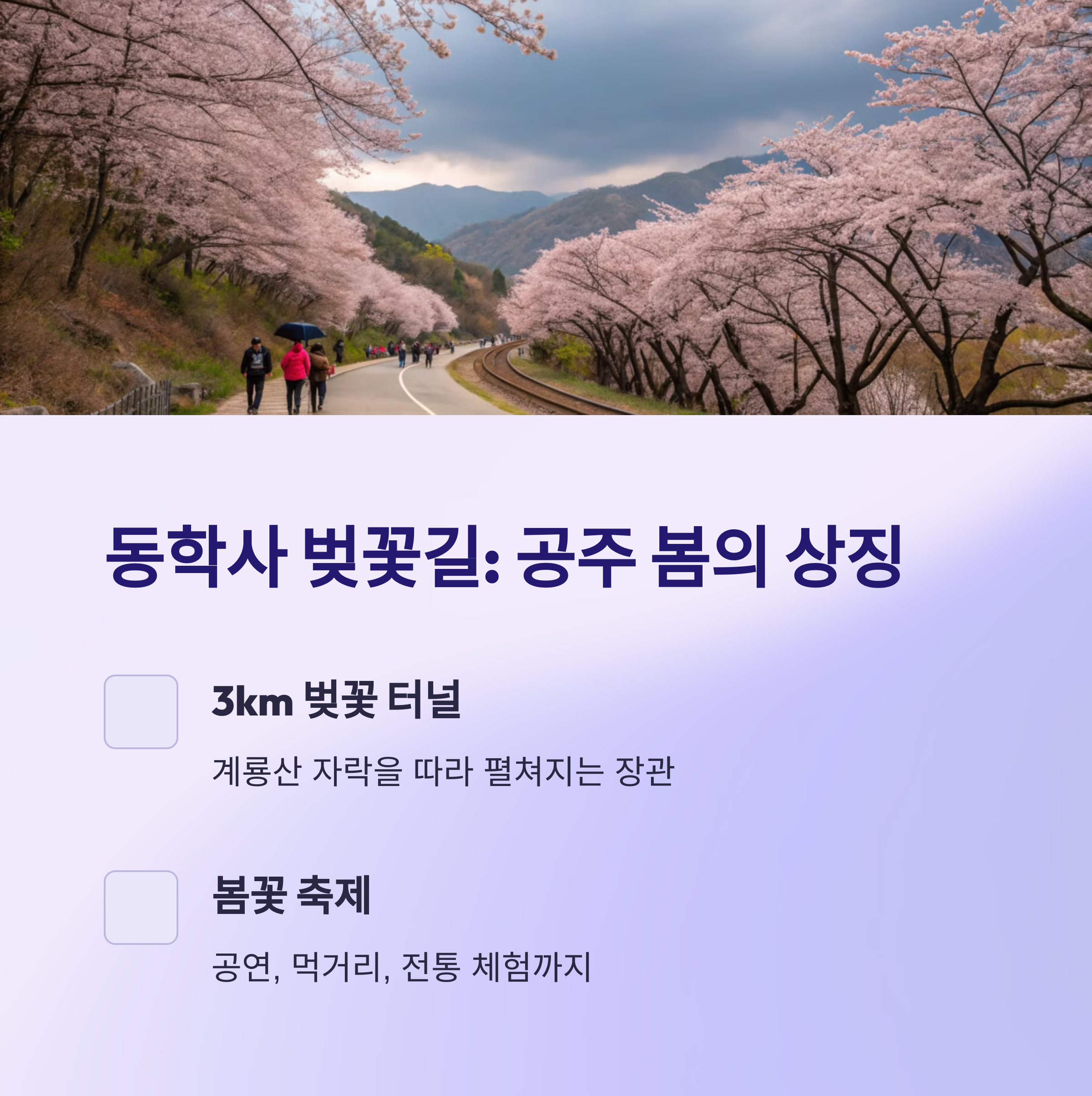 동학사 벚꽃길