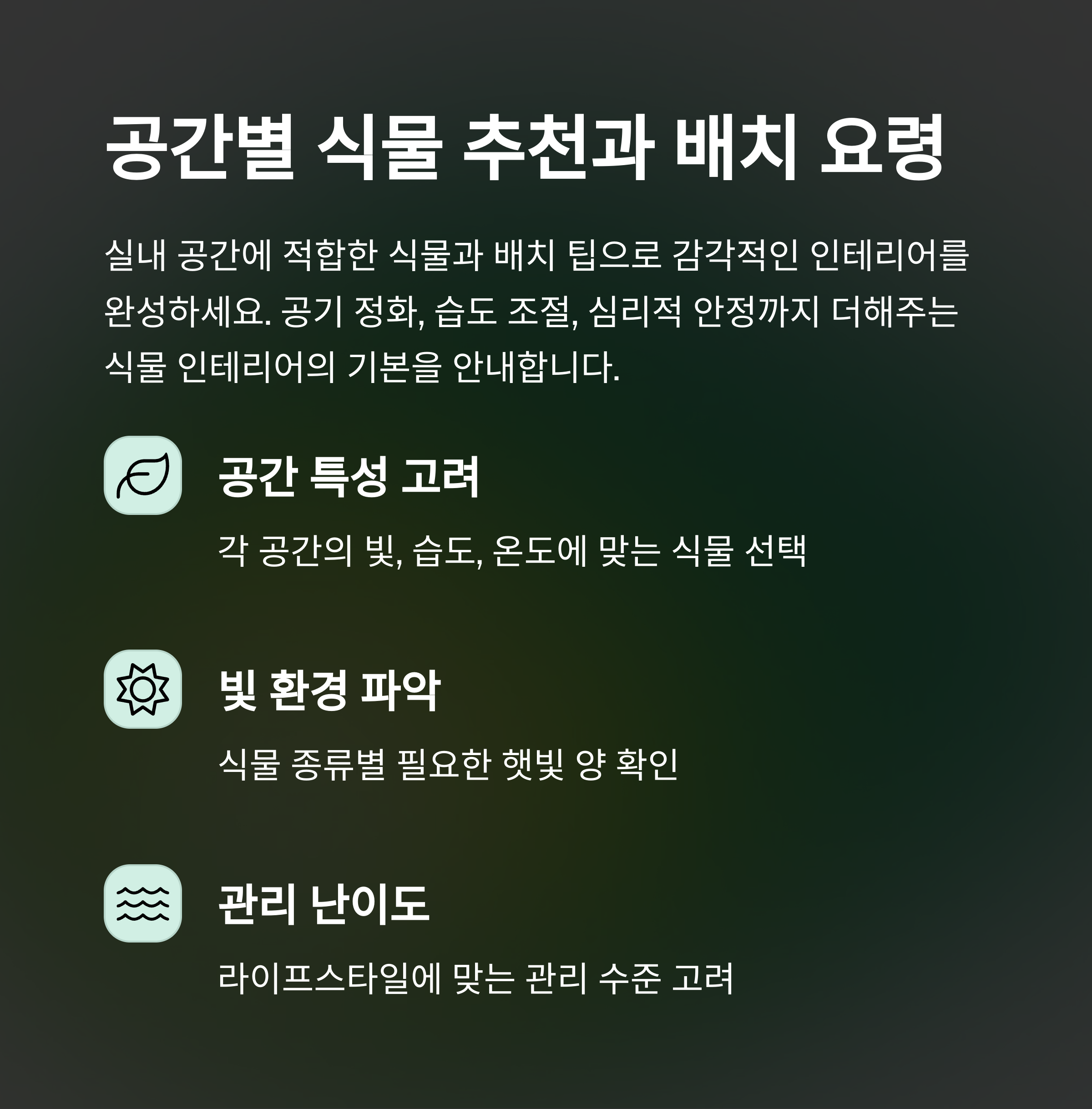 공간별 식물 추천과 배치 요령