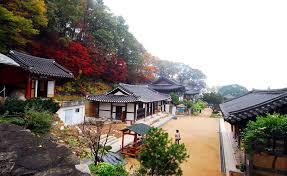 도보 명상 가능한 산사 TOP5 (걷고 멈추고 비우는 사찰 여행)