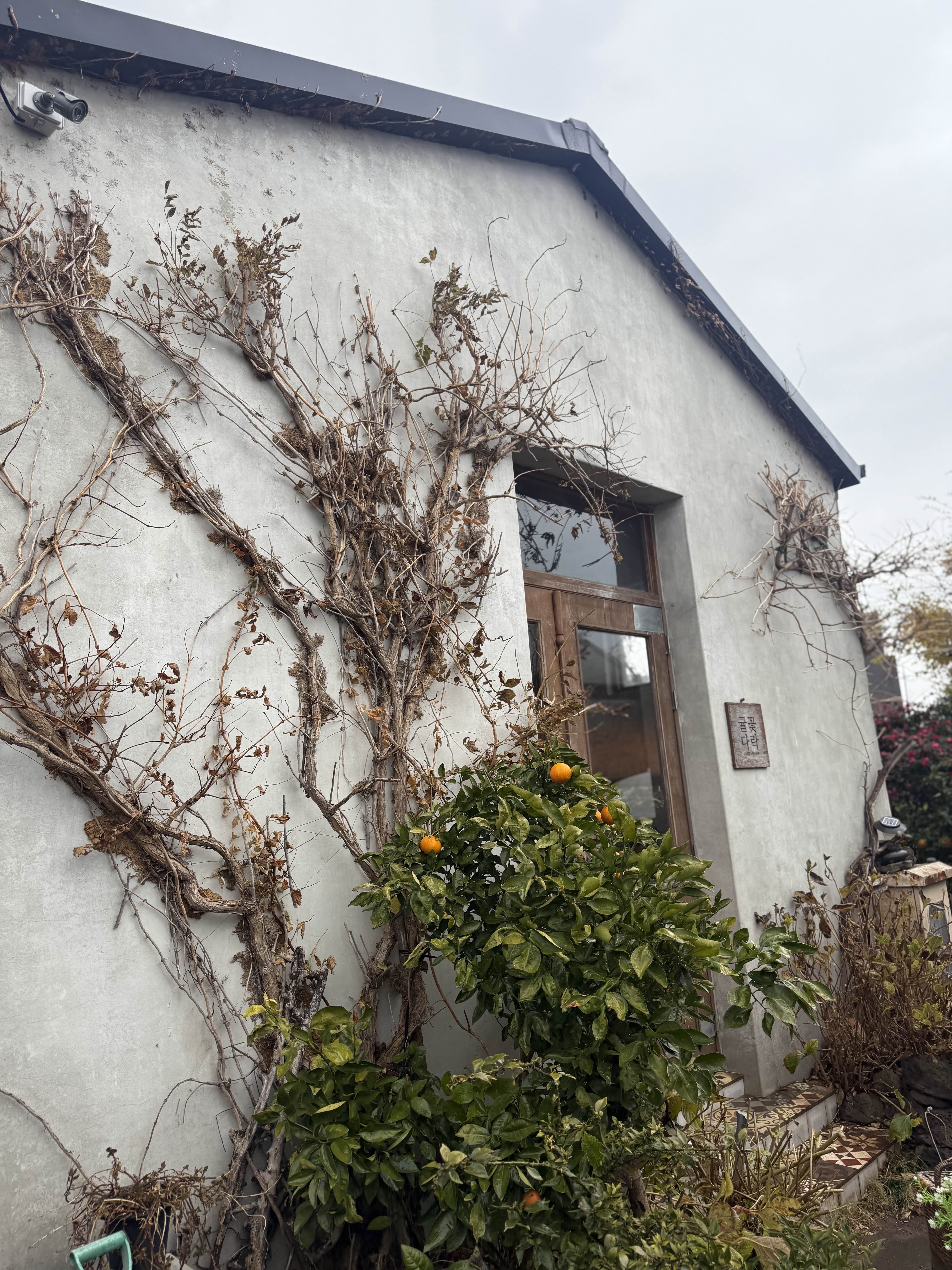 귤꽃다락 외관