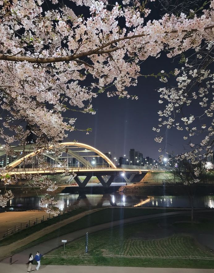 안양천 산책로 야경