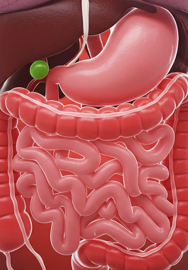 왼쪽 아랫배 통증 원인