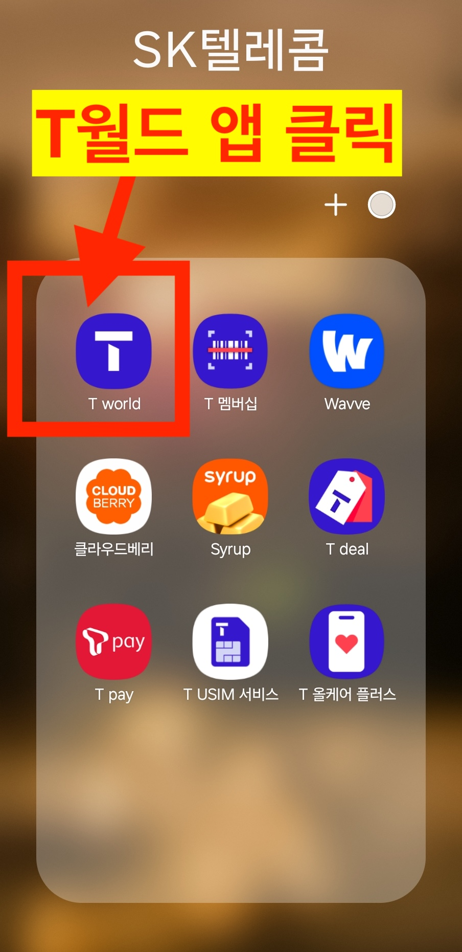 SK텔레콤 유심보호 서비스 신청방법 - 티월드 접속