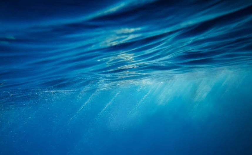 웅덩이에서못빠져나오는꿈