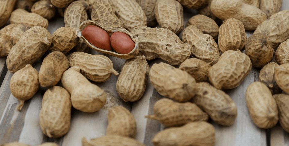 기억력 좋아지는 음식과 관련 된 사진 - 14