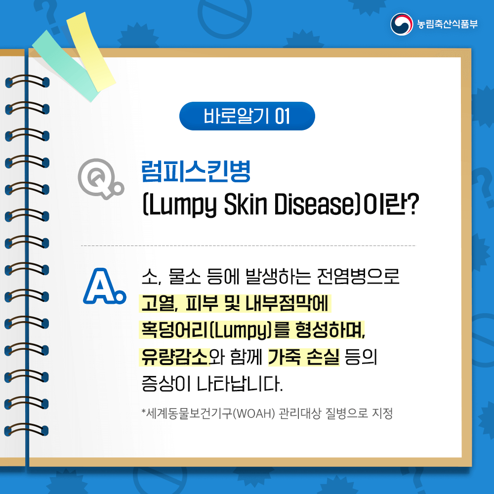 럼피스킨이 사람에게 미치는 영향과 럼피스킨이란?