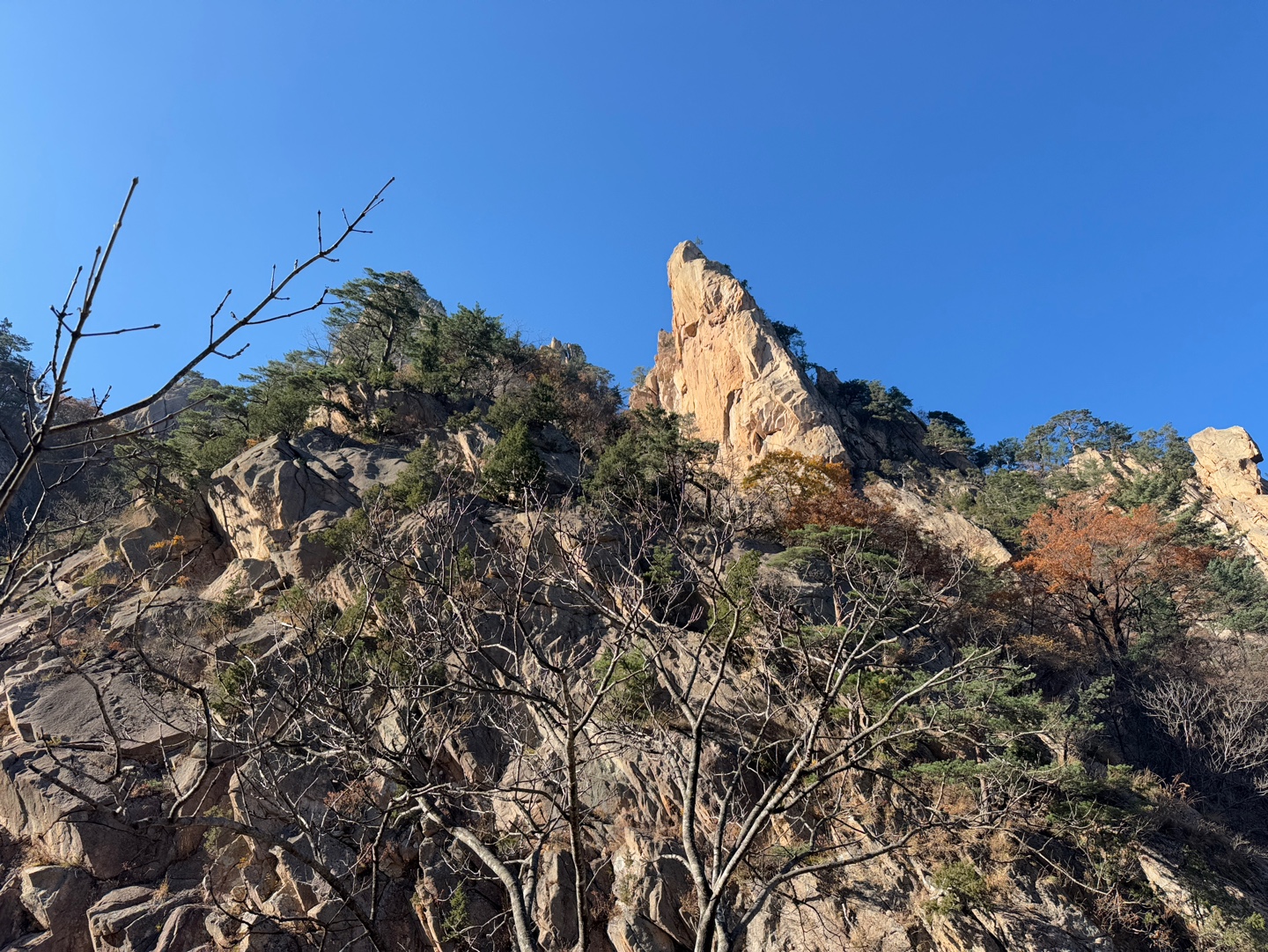 설악산 신흥사