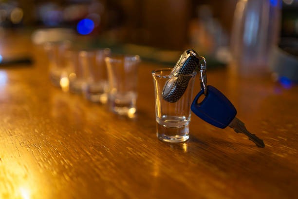 815-광복절-특사-음주운전-확인