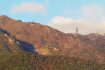 팔공산 템플스테이 체험 (힐링, 사찰, 숙박)