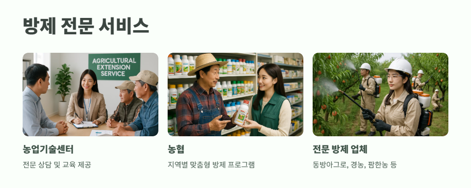 복숭아 나무 병충해 방제 완벽 정리 10