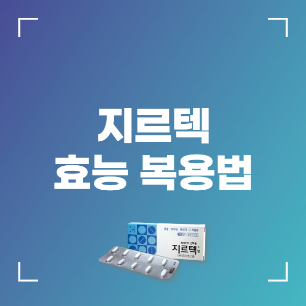 지르텍 효능 성분 복용법 가격 부작용