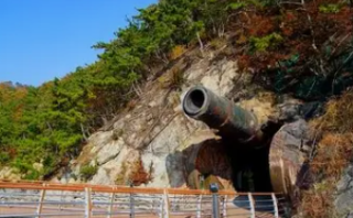 대항항 인공동물 입구