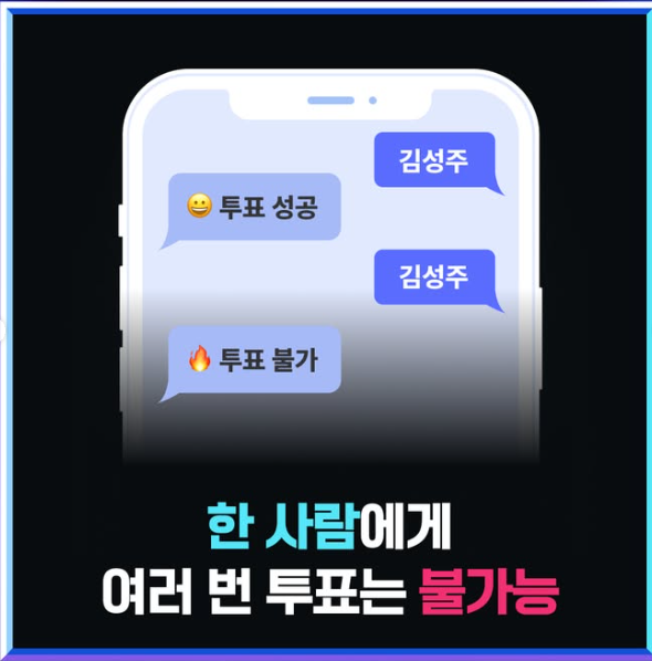 대국민문자투표