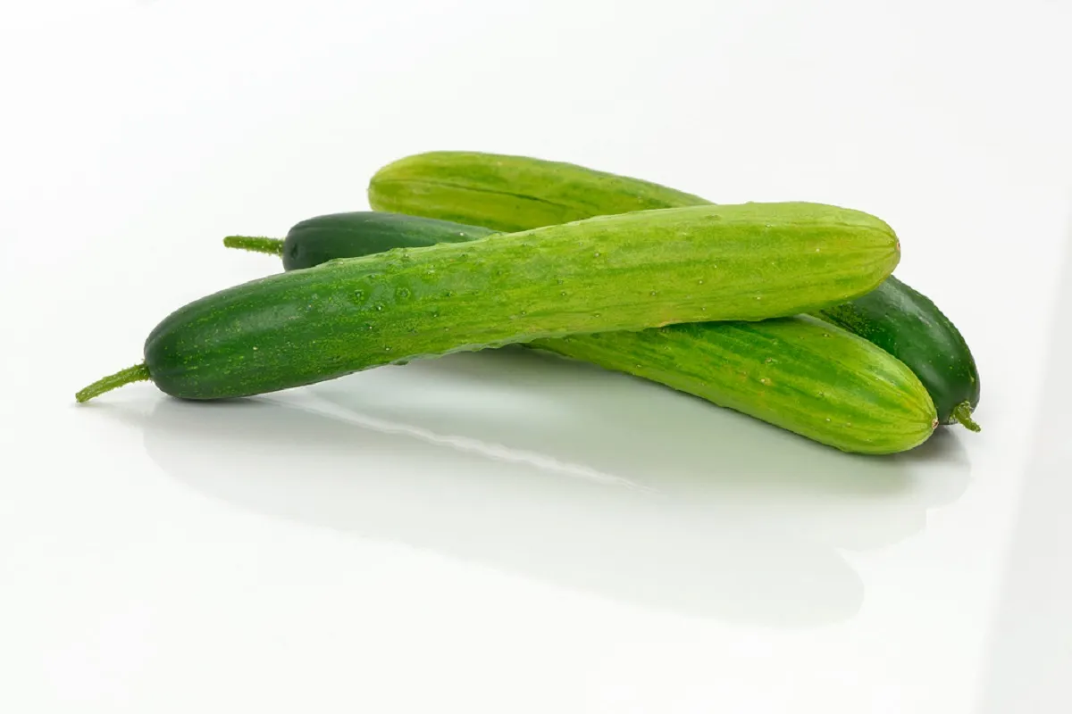 gg_오이 탕탕이 레시피_14