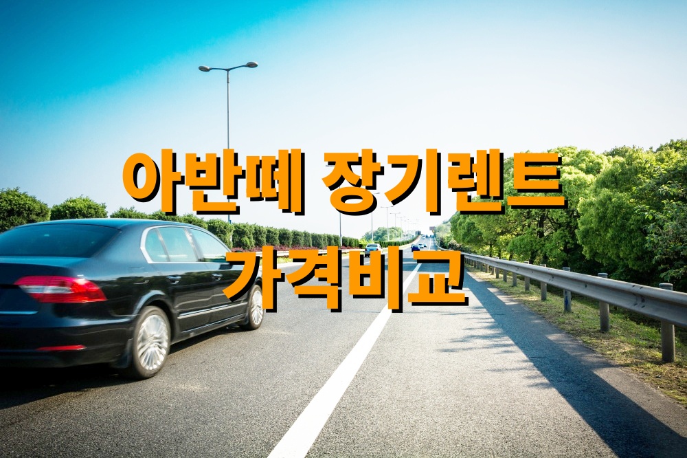 아반떼 장기렌트 가격비교